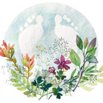Logo Marianne Cougoureux - Réflexologue
